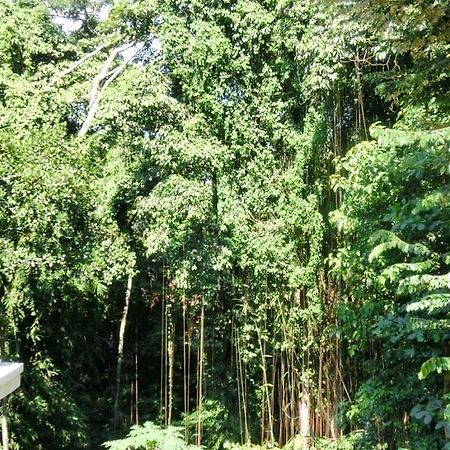 Latugu Homestay Ubud Exteriér fotografie